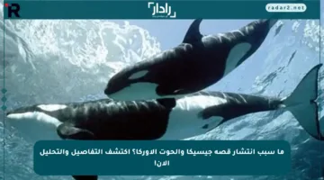 ما سبب انتشار قصة جيسيكا والحوت الأوركا؟ اكتشف التفاصيل والتحليل الآن!